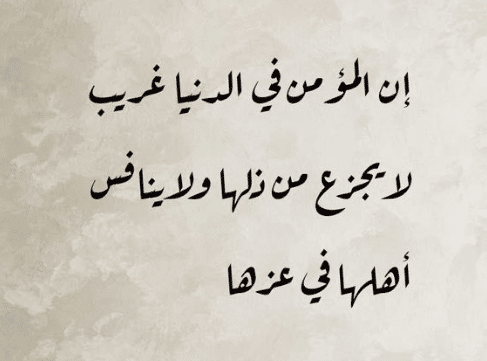 اشعار عن الدنيا وهمومها