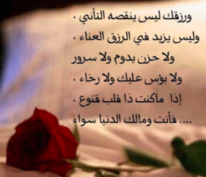 اشعار عن الرزق