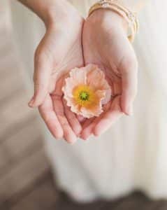 شعر بدوي عن الكرم