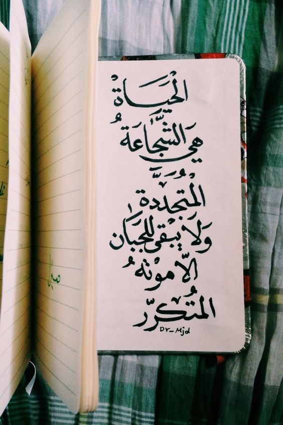 شعر بدوي عن الشجاعة