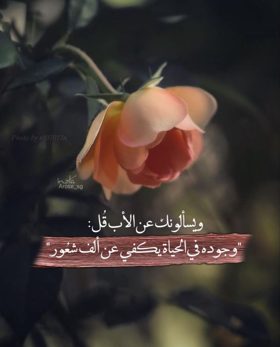 كلمات وصور عن الاب