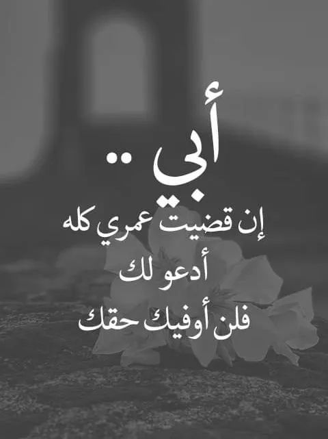 خلفيات عن ابي الغال1