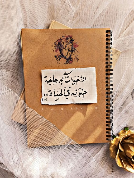 ملصقات عن الاخت3