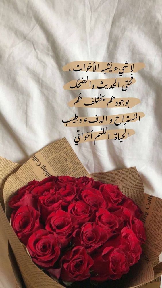 ملصقات عن الاخت4