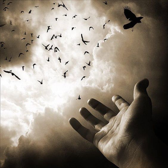 شعر بدوي عن الفراق