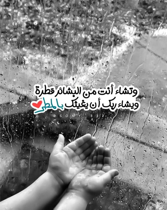 4كلمات وصور عن المطر