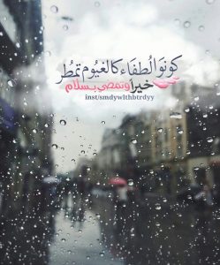كلمات وصور عن المطر