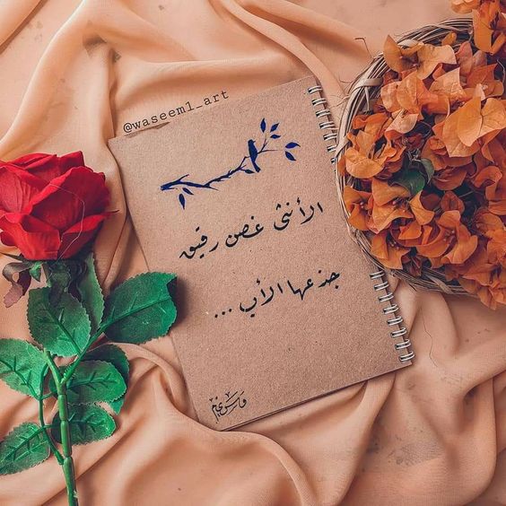 كلمات وصور عن الا4
