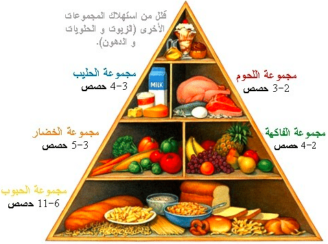 شكل الهرم الغذائي