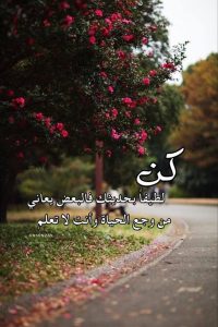 كابشن شعر للصور