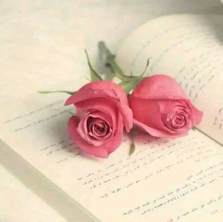 الفرق بين الحب والصداقة