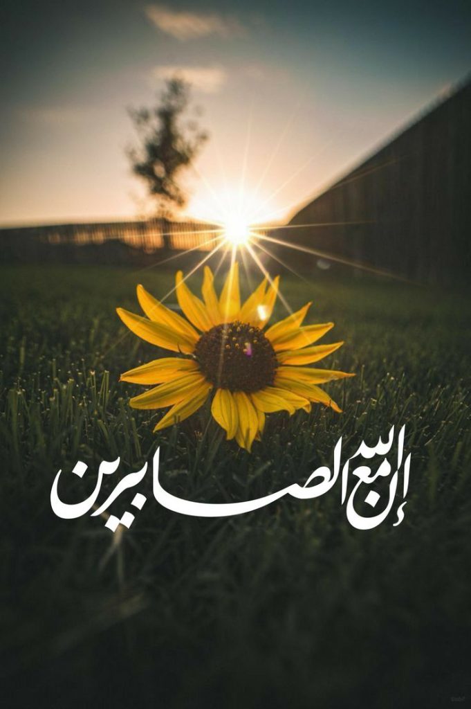 آيات عن الصبر