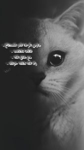كلمات معبرة عن الرحمة