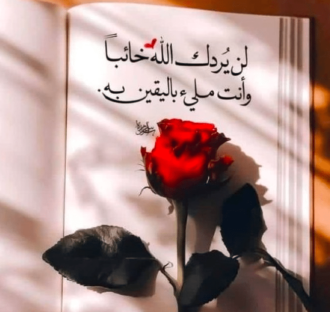 خلفيات مكتوب عليها كلام قوي للبنات 5