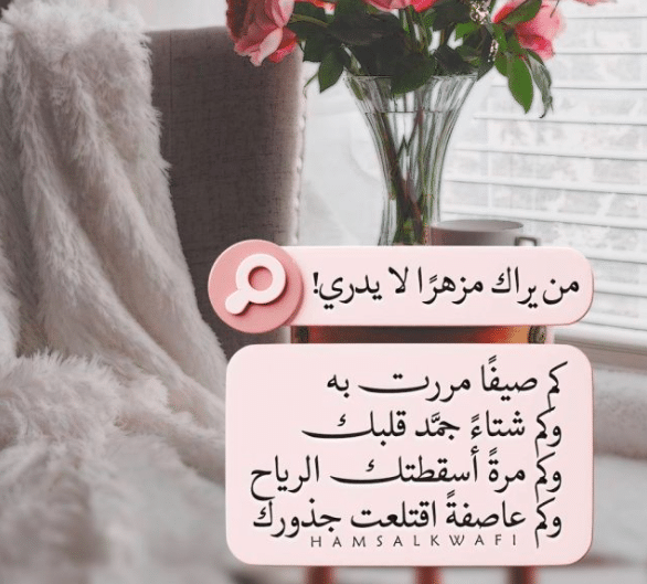 صور مكتـوب عليها عبارات قوية 3