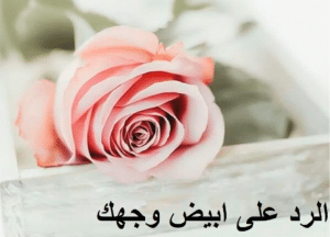 رد على بيض الله وجهك