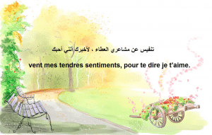 خواطر معبرة قصيرة بالفرنسية