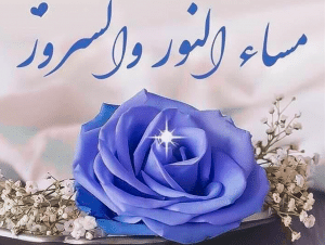 رد على مساء النور والسرور