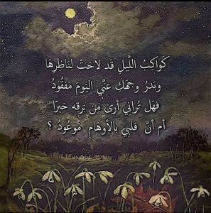 ابيات شعريه غزليه بالفصحى