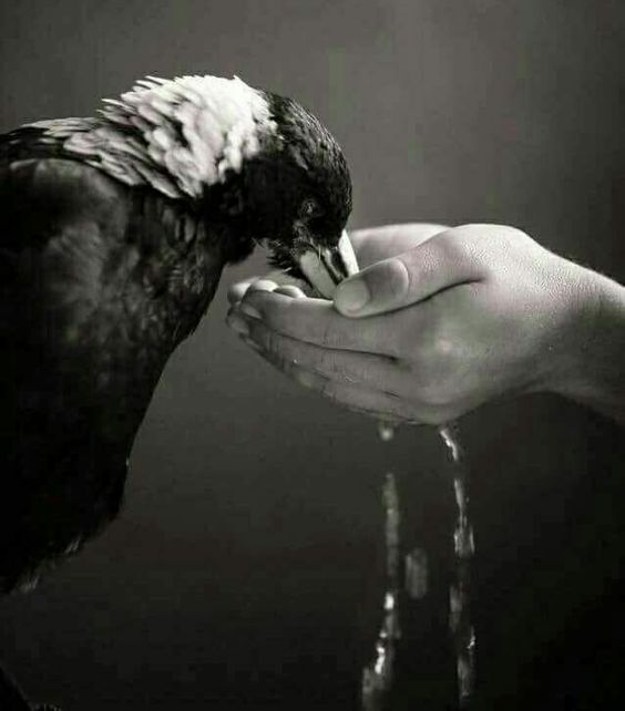شعر عن العطاء