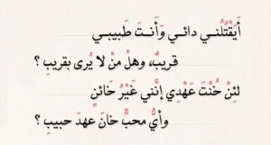 أبيات من الشعر الأندلسي