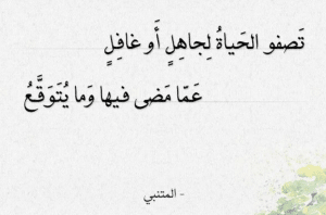 أبيات من شعر المتنبي