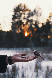 شعر عن العطاء