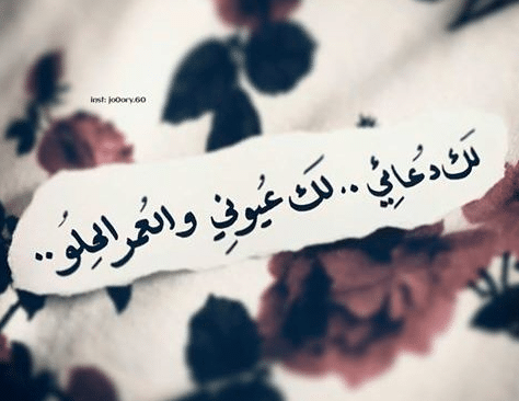 خواطر للحبيب طويلة