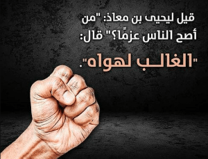عبارات درر