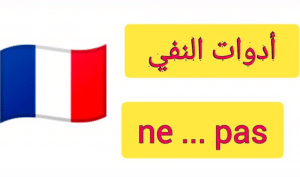 شرح درس النفي في اللغة الفرنسية