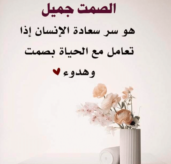 خواطر الصمت
