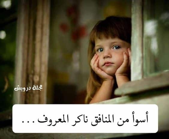 ماذا قالت العرب عن ناكر المعروف؟