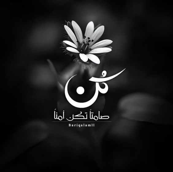 امثال شعبية عن الصمت