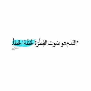 أمثال شعبية عن الندم