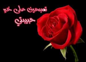 تصبحين على خير يا حبيبتي