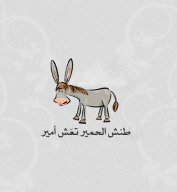 امثال شعبية عن الحمار