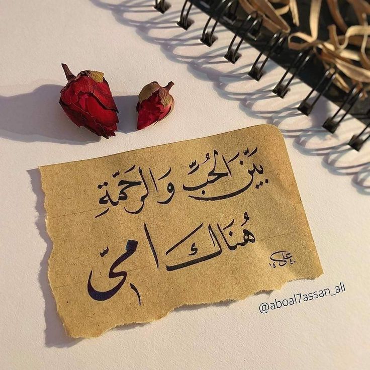 امثال شعبية عن الام