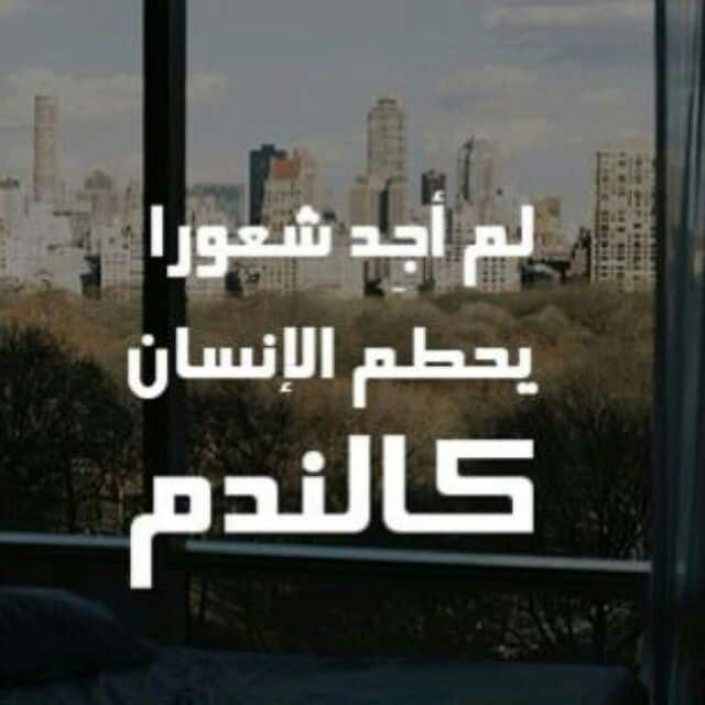 أمثال شعبية عن الندم