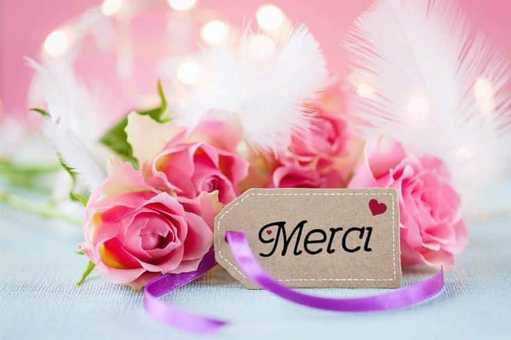 عبارات شكر بالفرنسية للمعلمة