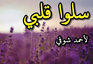 تقطيع قصيدة سلوا قلبي