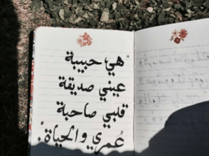 شعر لصديقتي احبك