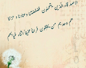 شعر نبطي عن الصديق