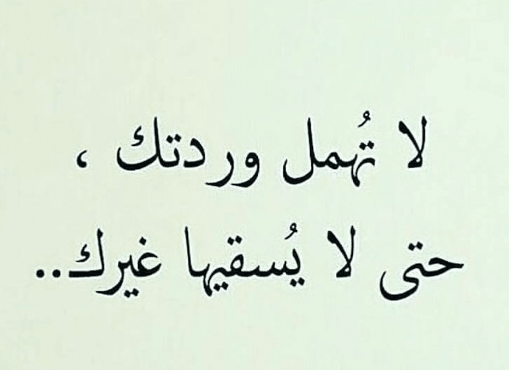 رساله من زوجه لزوجها المهمل