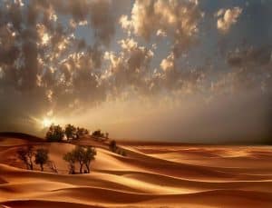 شعر عن الطبيعة في العصر الجاهلي