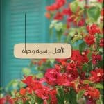 عبارات عن الاهل