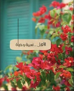 عبارات عن الاهل