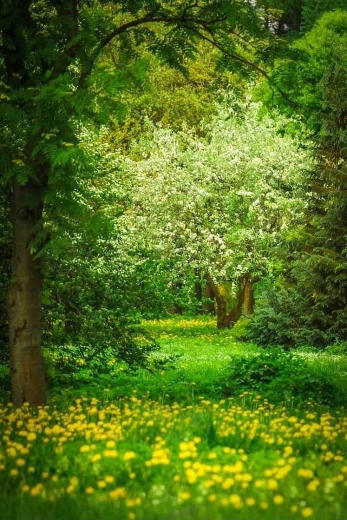 أقوال جبران في الحياة  أقوال جبران في الحياة