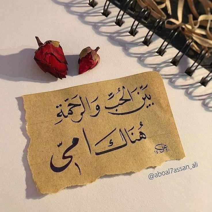 أحسن كلام عن الأم