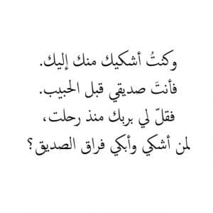 جمل عن فراق الأصدقاء
