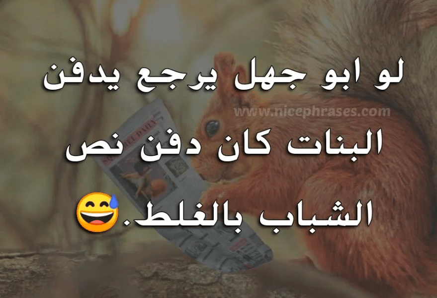 عبارات قصف جبهات للرجال